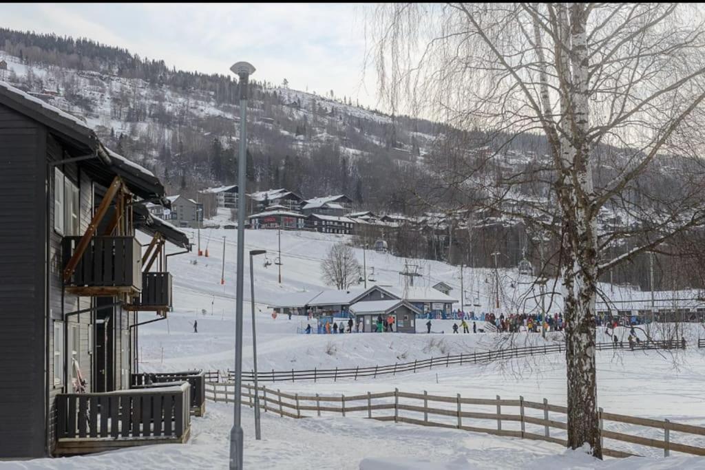 Friends & Family Apartment At Hafjell Alpinlandsby/Oyer Center エクステリア 写真