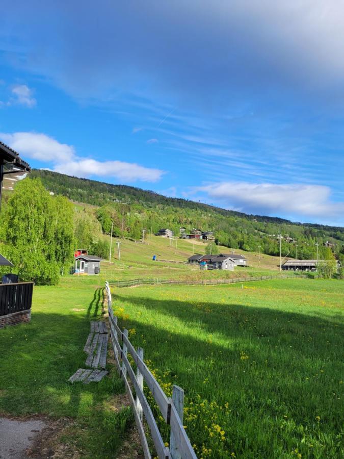 Friends & Family Apartment At Hafjell Alpinlandsby/Oyer Center エクステリア 写真